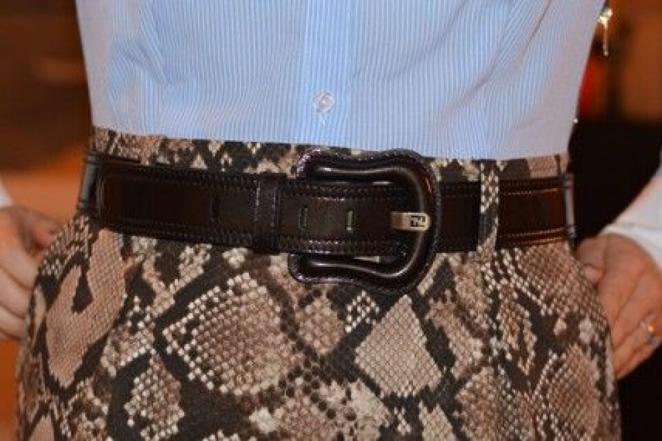 Tvådelad klänning med snakeskin från Altuzarra for Target och bälte från Fendi. Tvådelad klänning med snakeskin från Altuzarra for Target och bälte från Fendi.
