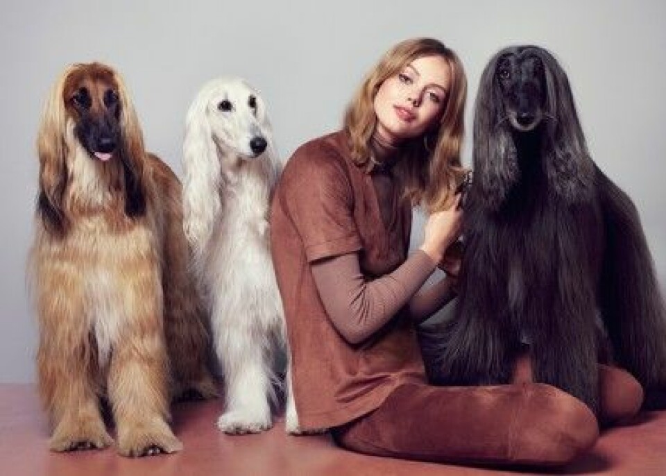 Frida Gustavsson i Gina Tricots kampanj ”Salute the softies”. Frida Gustavsson i Gina Tricots kampanj ”Salute the softies”.