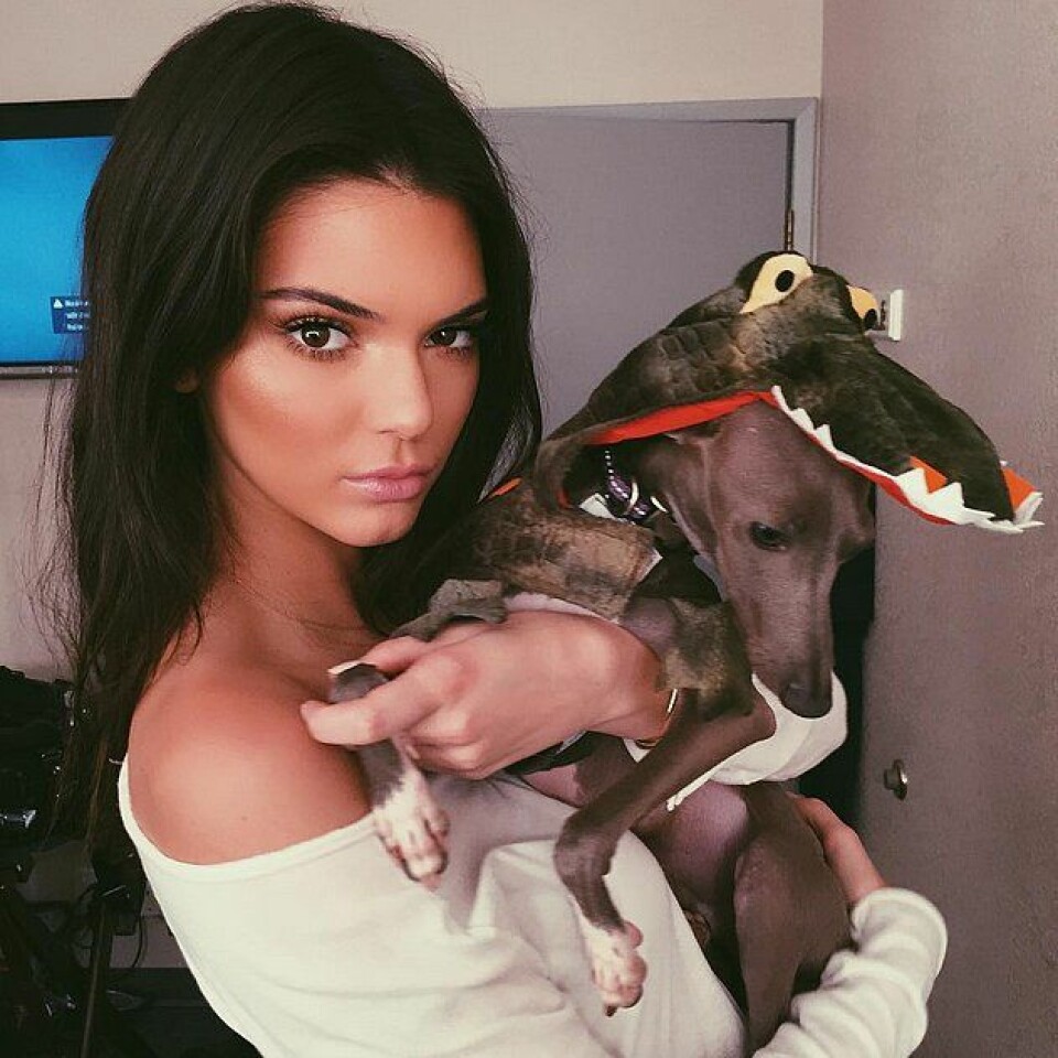 Supermodellen Kendall Jenner är ett måste att följa på Snapchat (@kendalljenner)