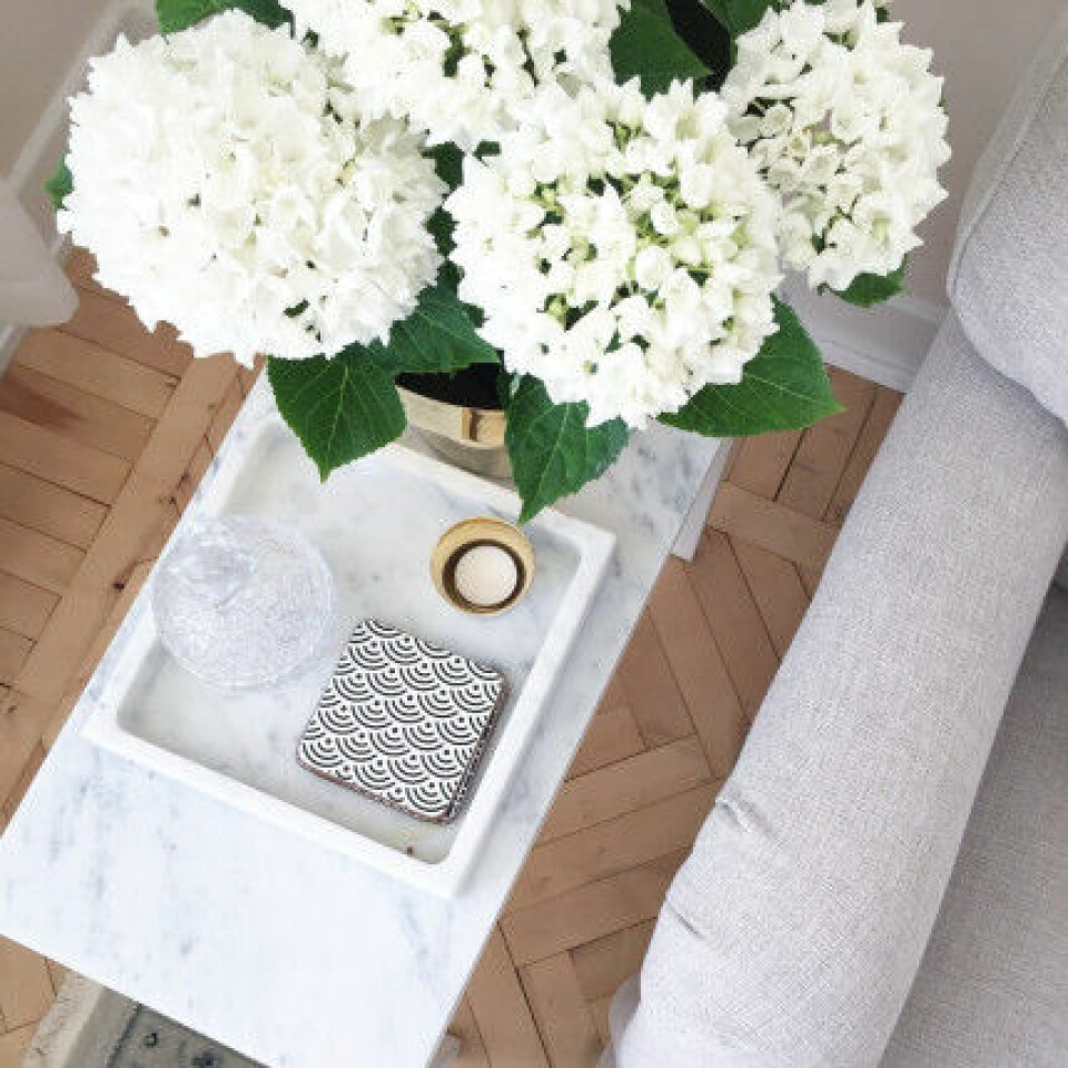 Ett enkelt knep att uppdatera hemma är med blommor, tipsar Daniella. Ett enkelt knep att uppdatera hemma är med blommor, tipsar Daniella.