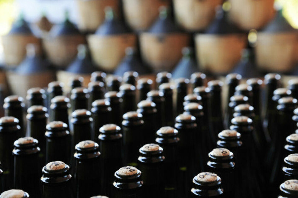 Prosecco tillverkas liksom champagne endast i ett distrikt. Prosecco tillverkas liksom champagne endast i ett distrikt.