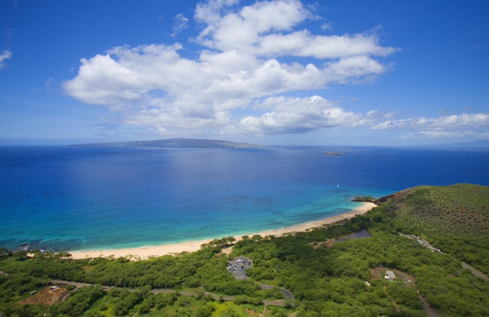 På Maui är det kändistätt året om. På Maui är det kändistätt året om.