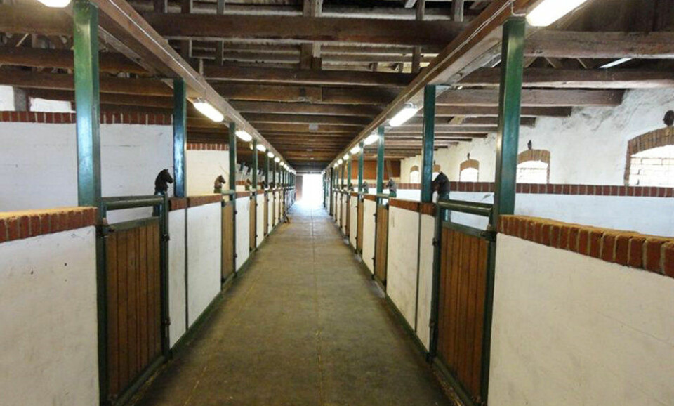 Stallet med plats för 22 boxar.