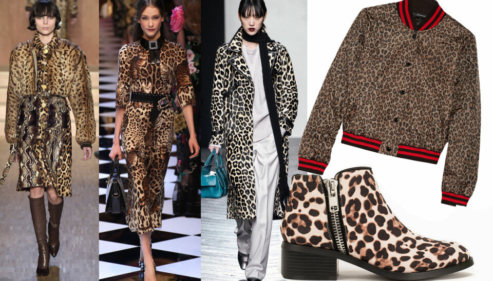 Höstmode 2016: 16 snygga köp i leopardmönster