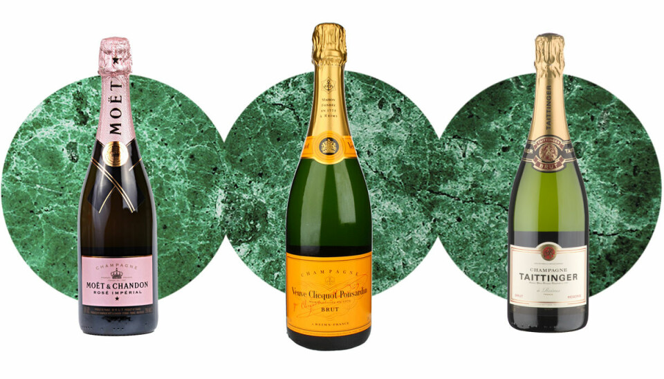 Nu blir det champagnebrist – årets skörd har möglat bort