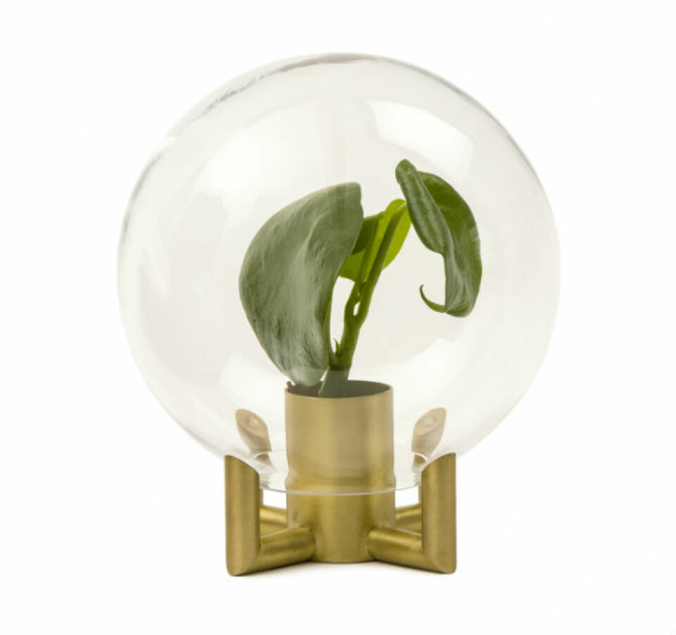 Så inreder vi i höst: kalla färger möter rosa toner