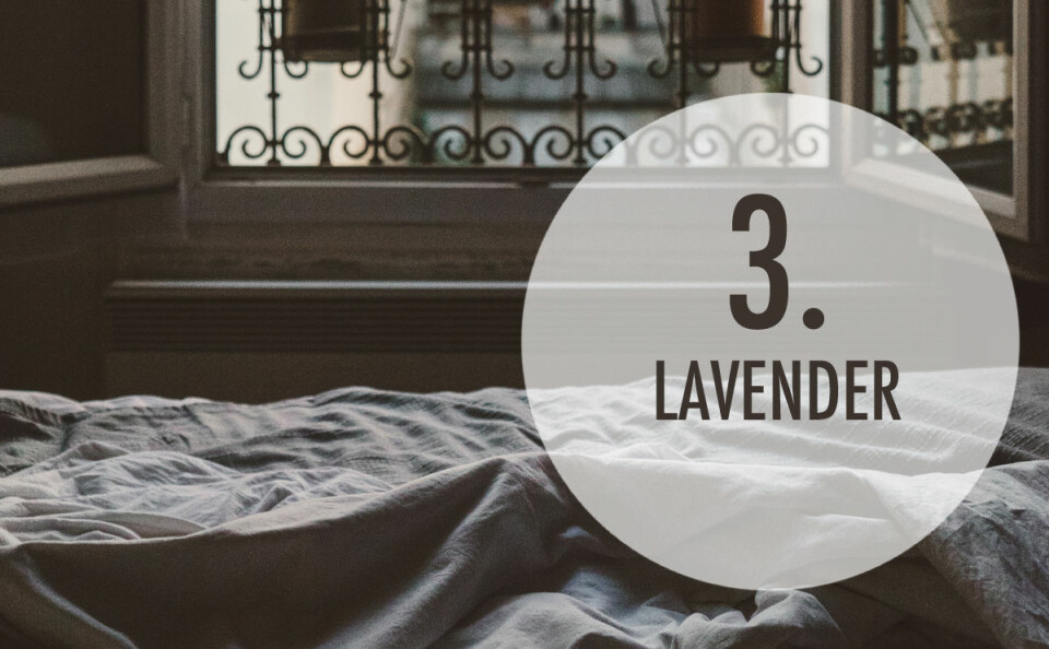 Det är vetenskapligt bevisat att lavender kan hjälpa dig att somna. Ett trick som sägs fungera är att droppa ett par droppar lavenderolja på en bomullstuss och förvara den under kudden.