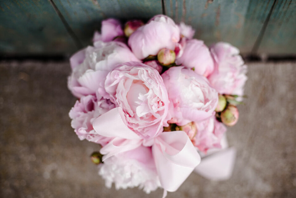 Du kan bli lyckligare och friskare av en bukett blommor! Du kan bli lyckligare och friskare av en bukett blommor!