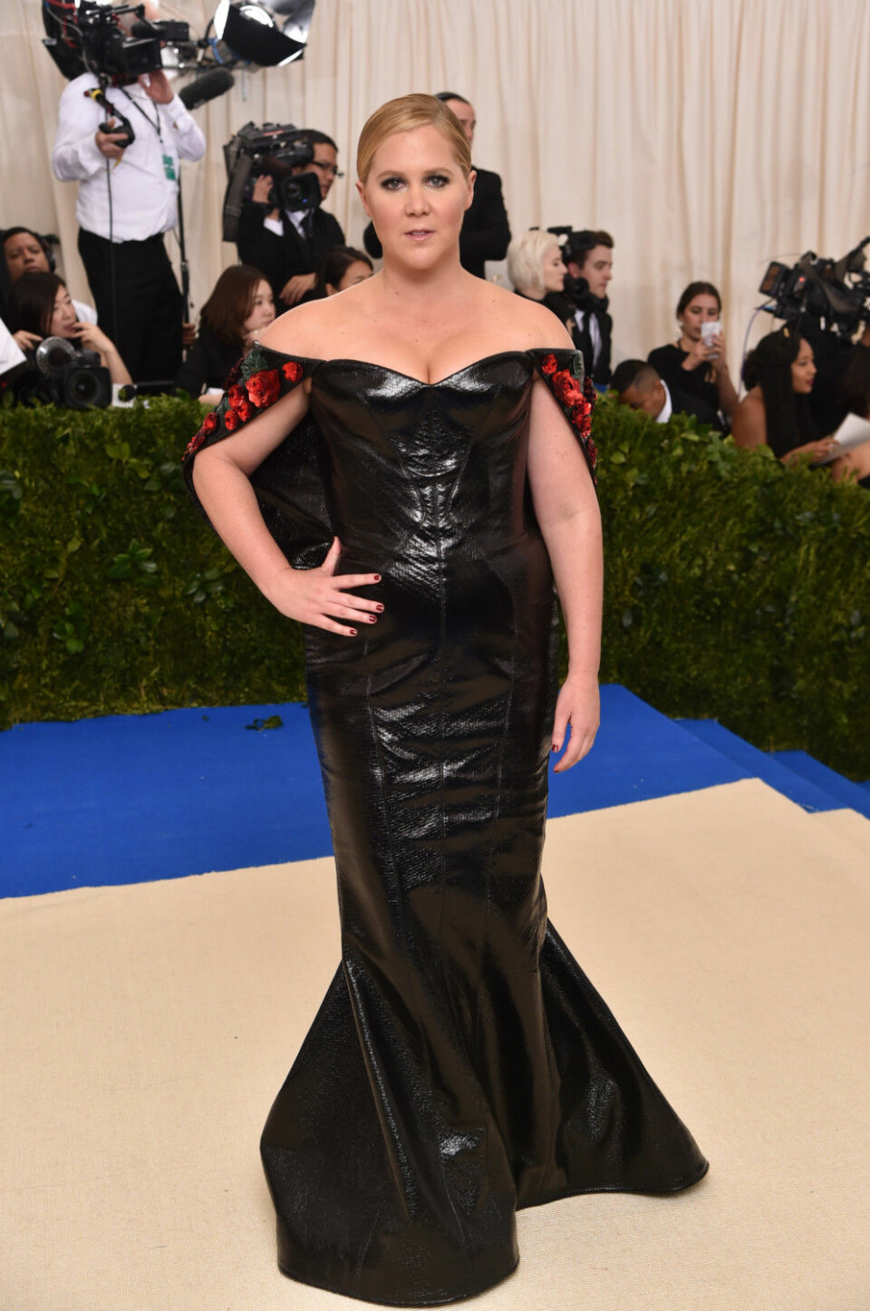 Amy Schumer