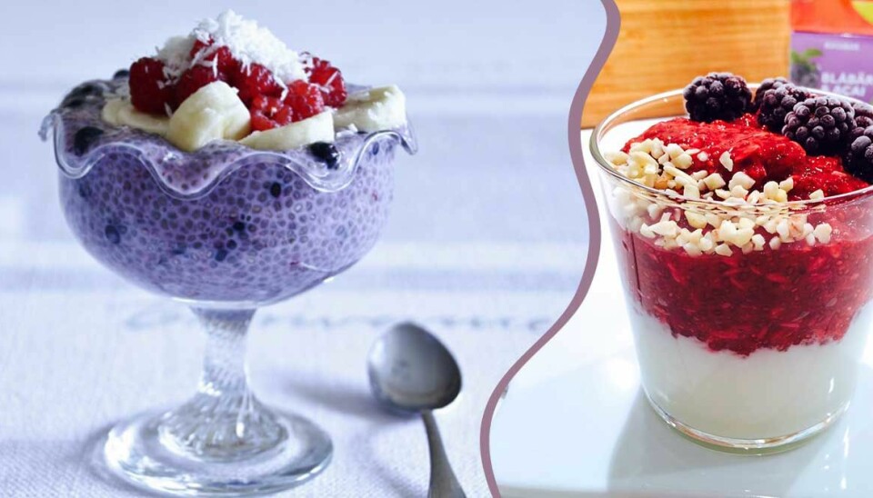 Bloggarnas 10 bästa recept på chiapudding