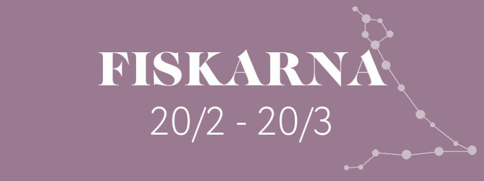 Stor guide: Jobb som passar ditt stjärntecken
