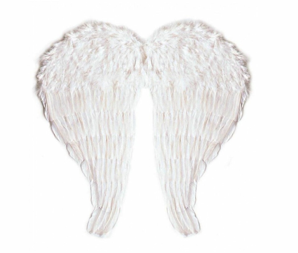 Sno stilen: Vita änglavingar från Temashop.