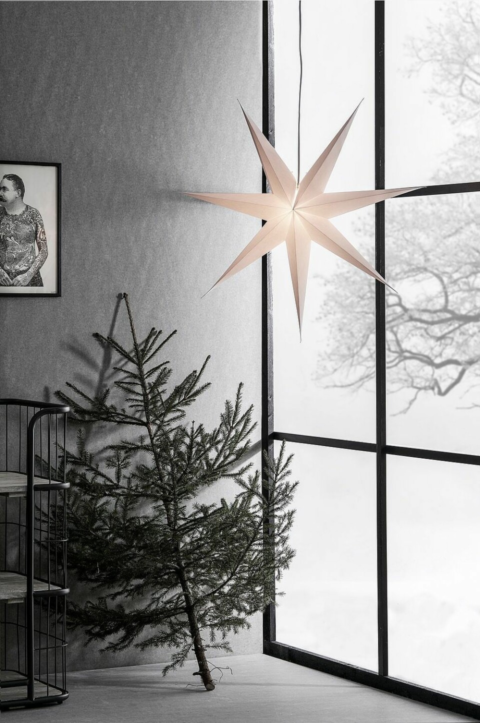 20 trendiga och stilrena adventsstjärnor till jul