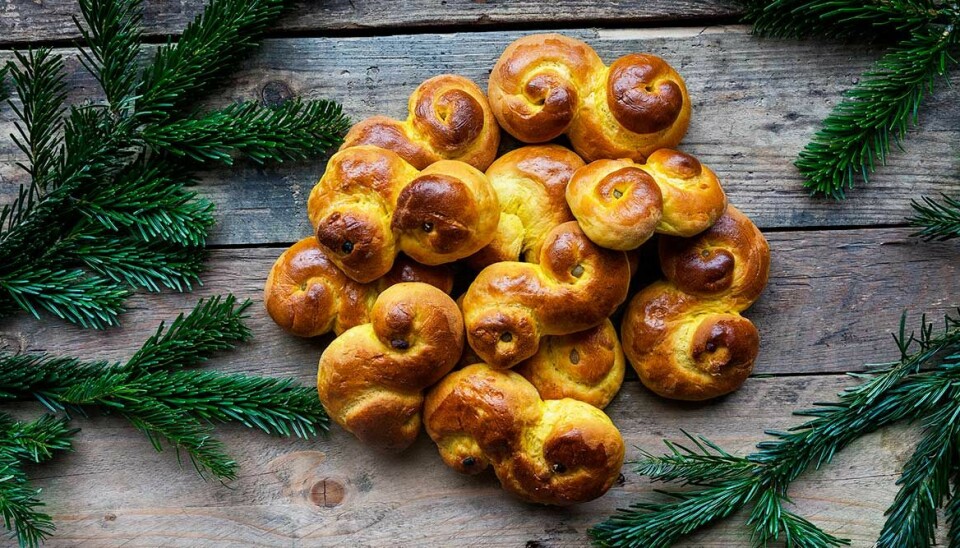 Julmys till alla! Så gör du veganska lussekatter