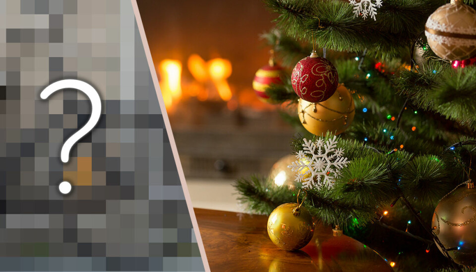 Svår att slå in och klimatsmart – det blev årets julklapp