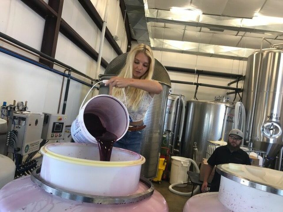 Ölintresset har även fått Sandra att resa. Här besöker hon en av världens bsäta bryggerier – Superstition Meadery i Arizona, USA. Ölintresset har även fått Sandra att resa. Här besöker hon en av världens bsäta bryggerier – Superstition Meadery i Arizona, USA.