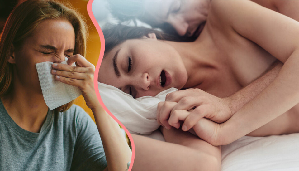 Kåt och och förkyld? Så har du influensasex – utan att smitta din partner