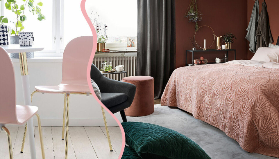 Puderrosa inredning är vårens trend – 17 köp som övertygar dig