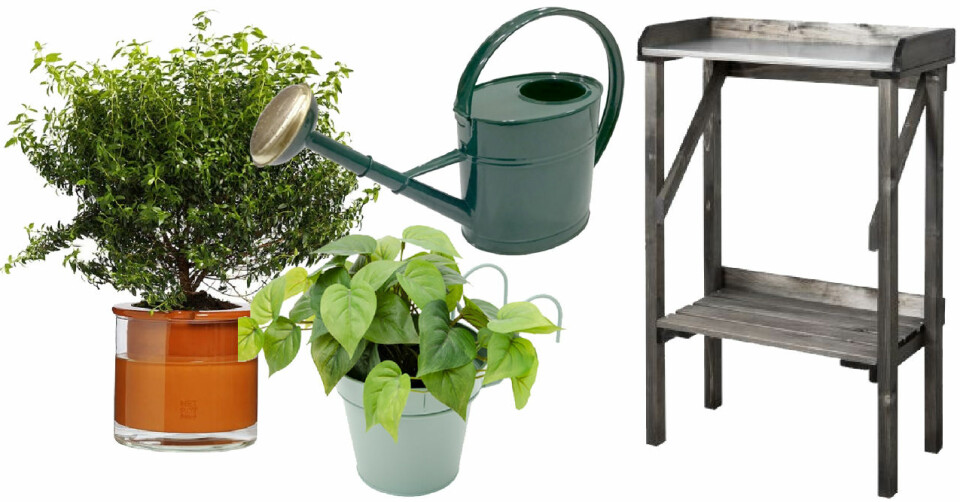 Fixa mysigaste balkongen till budgetpris – allt från dynor till krukor