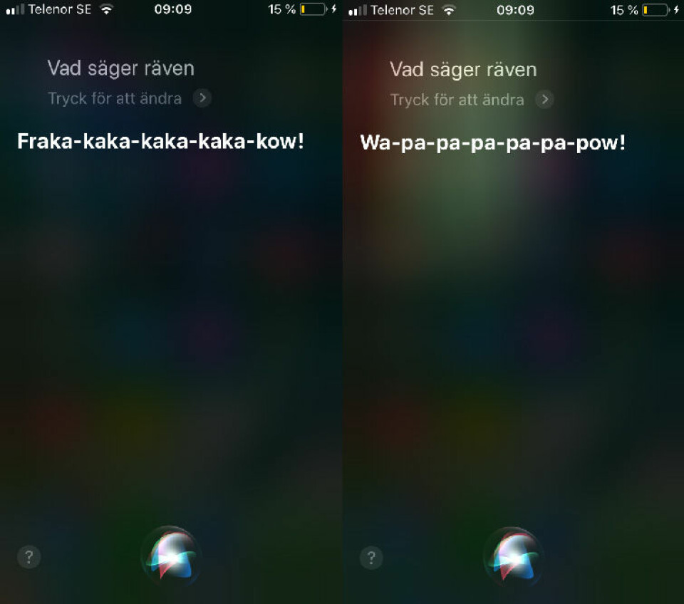 14 saker du kan fråga Siri – och få oväntade svar