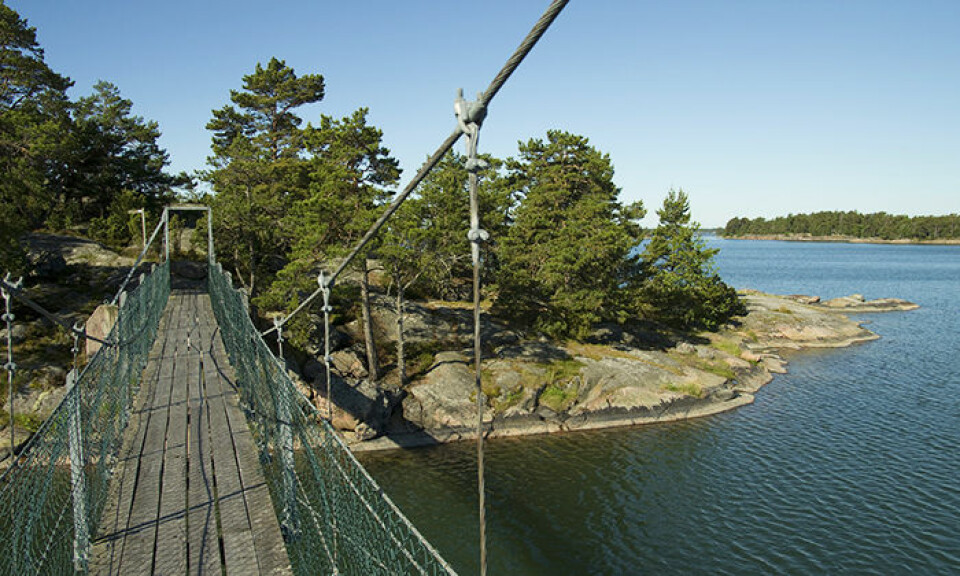 Foto: Mikael Gustafsson/Naturfotograferna/IBL Foto: Mikael Gustafsson/Naturfotograferna/IBL