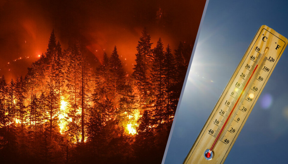 Nya klimatlarmet: Jorden kan bli obeboelig mycket tidigare än vi trott