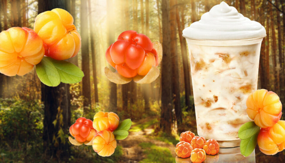 Max släpper ny milkshake – med hjortron och glass