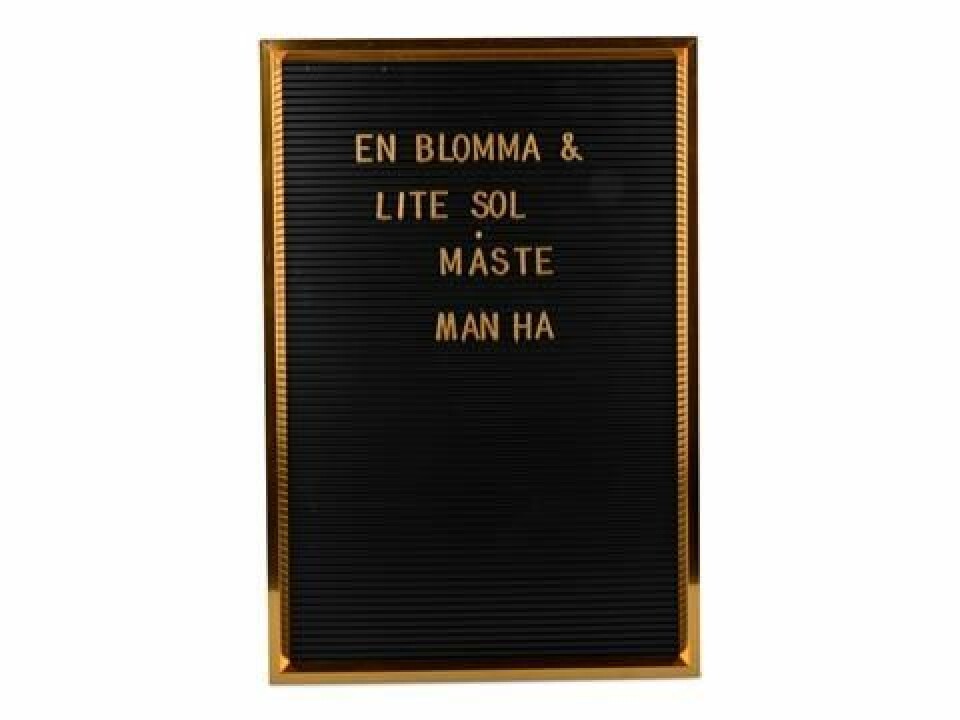Trendiga bokstavstavlor vi klickar hem i höst