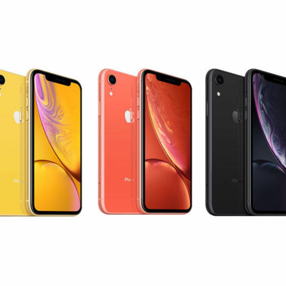 Shoppingtips: 15 stora julstjärnor att hänga i fönstret