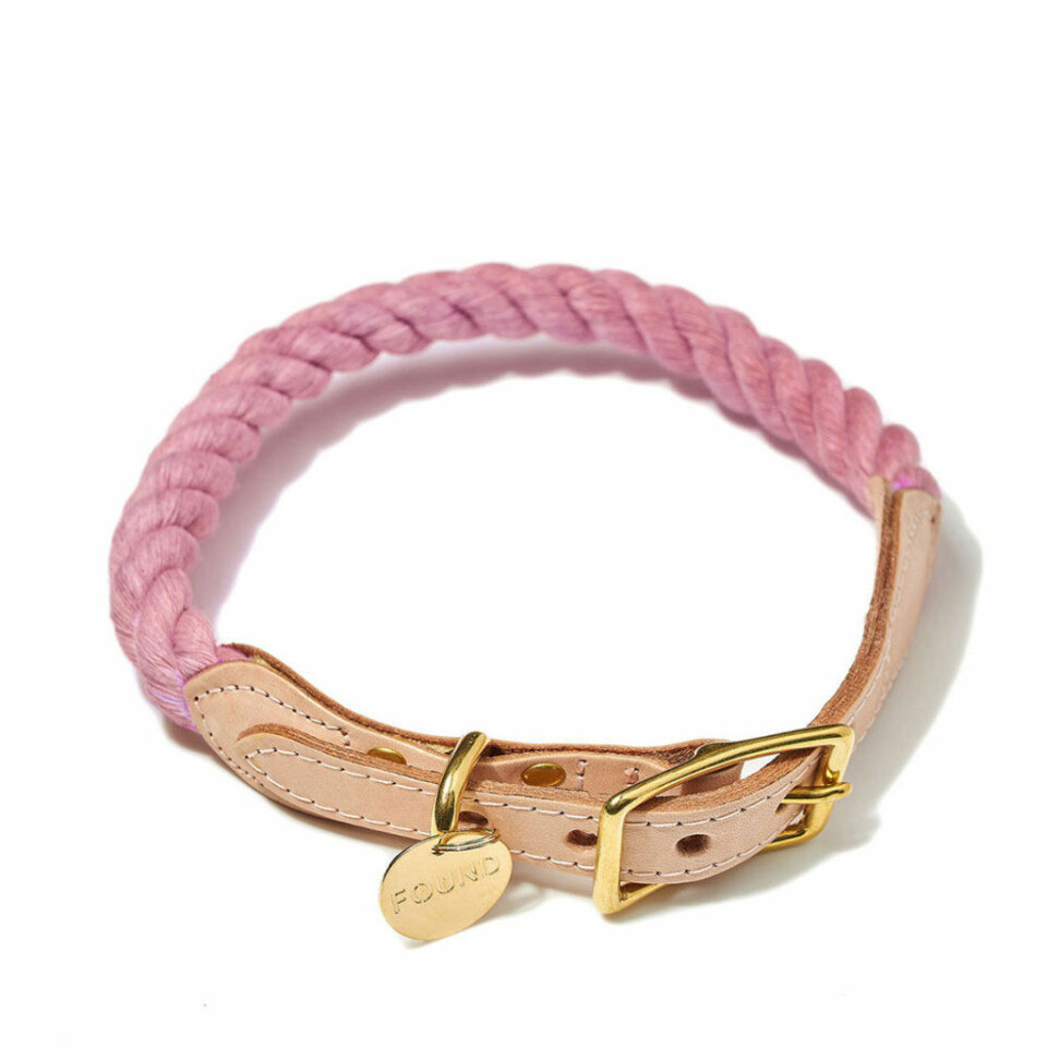 Nu kan du köpa allt till din fyrfota vän – på Åhléns