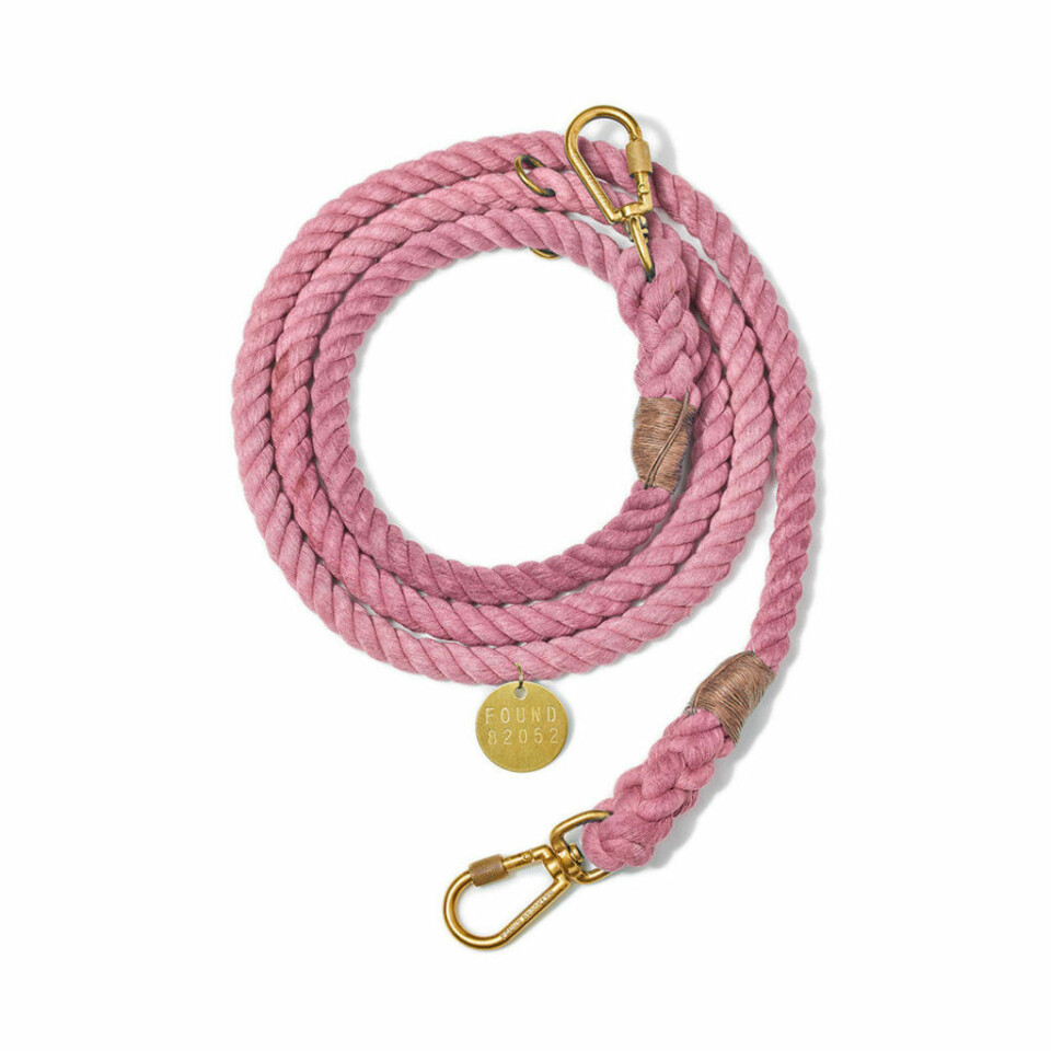 Nu kan du köpa allt till din fyrfota vän – på Åhléns