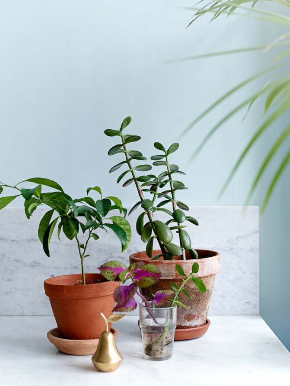 Foto: Idha Lindhag Styling: Tina Hellberg Syns i: Fyra nyanser av blått och drömmigt kök Foto: Idha Lindhag Styling: Tina Hellberg Syns i: Fyra nyanser av blått och drömmigt kök