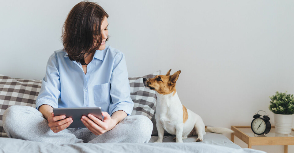 Tänk både på ordval och tonläge när du pratar med din hund – hen förstår dig bättre än du tror! Foto: IBL Tänk både på ordval och tonläge när du pratar med din hund – hen förstår dig bättre än du tror! Foto: IBL