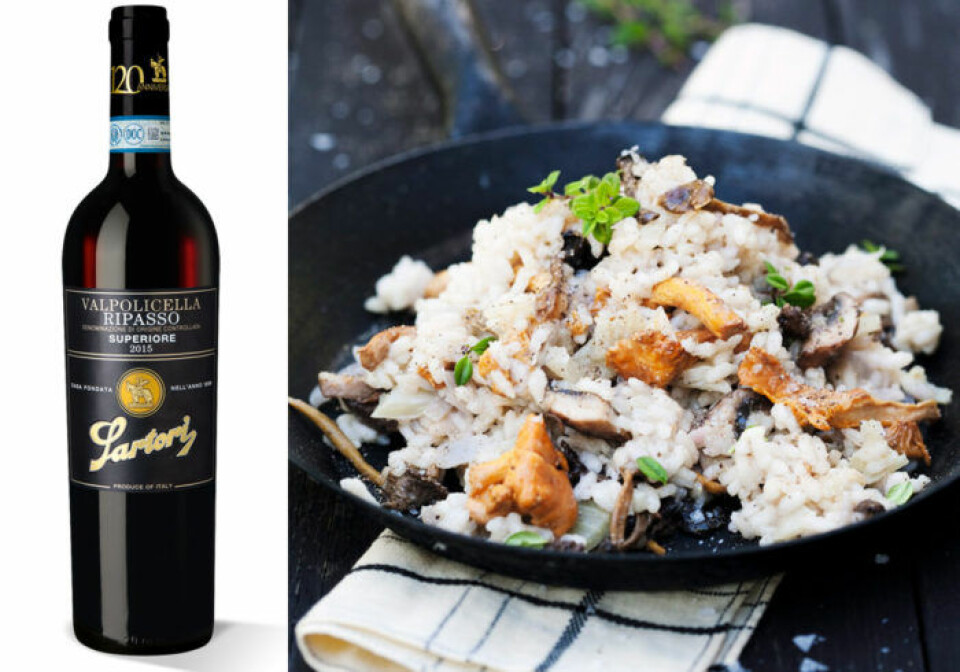 Ripasso passar till risotto med skogssvamp och parmesan. Ripasso passar till risotto med skogssvamp och parmesan.