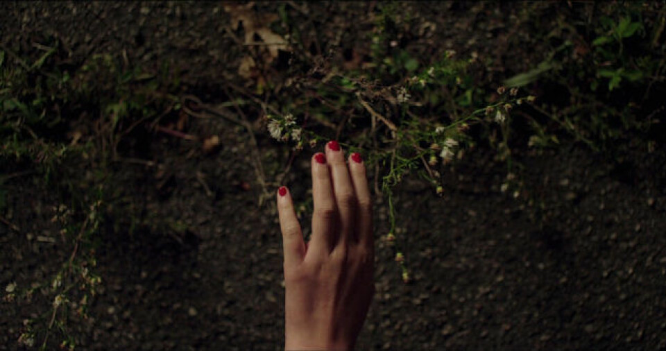 7 unikt snygga skräckfilmer för dig som älskade 'It follows'