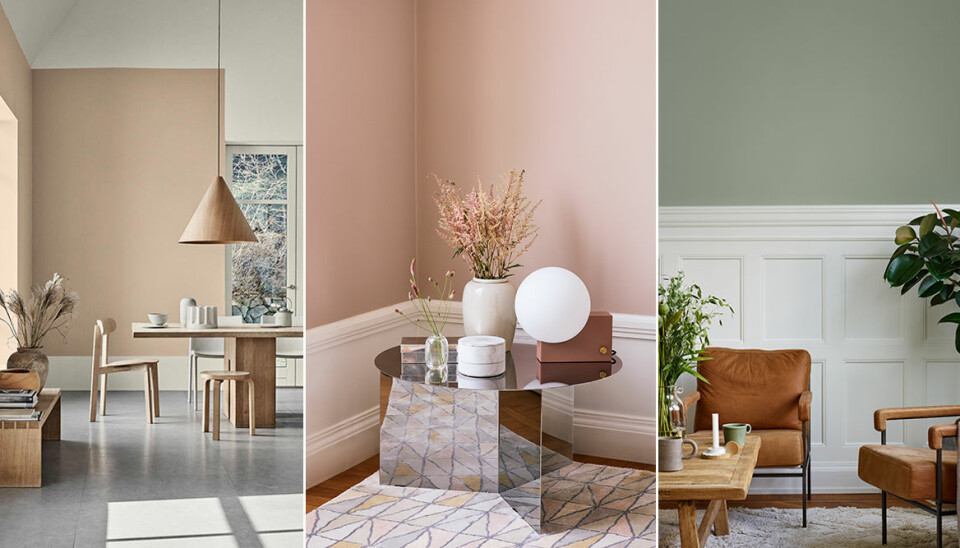 Så målar vi 2019 – 5 stora färgtrender