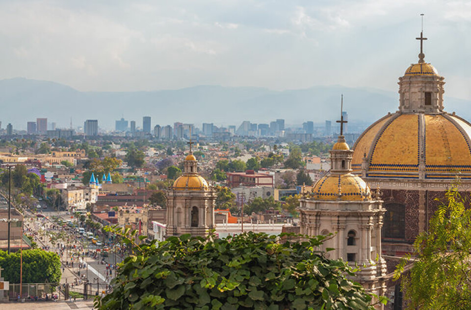 Foto: Shutterstock Foto: Shutterstock
