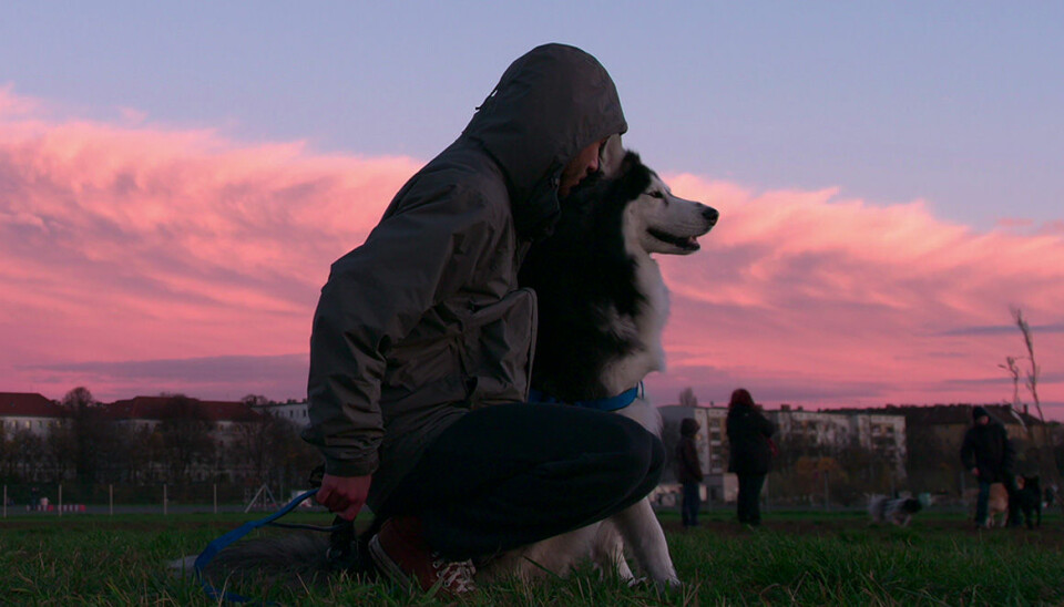Dokumentärserien Dogs på Netflix är det finaste vi sett
