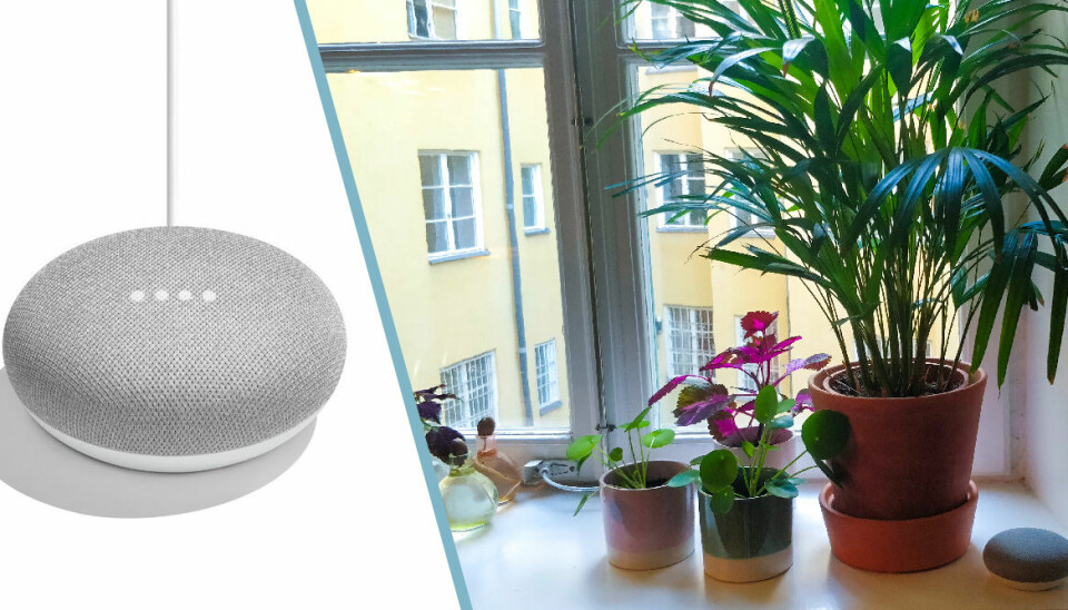 Test: Google Home Mini – är den värd ett köp?
