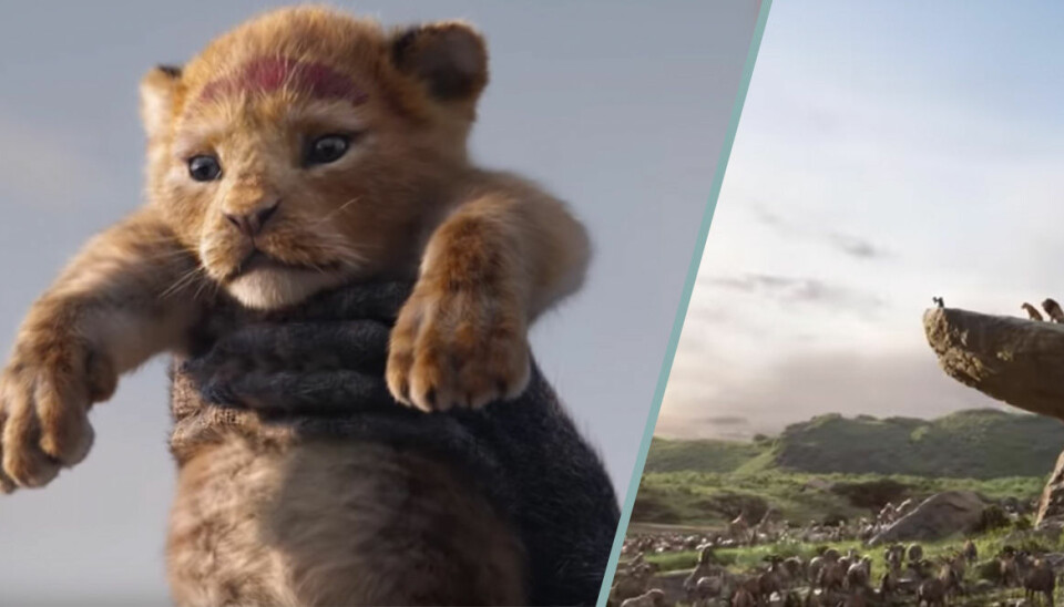 Trailern till nya Lejonkungen är här – och den är fantastisk