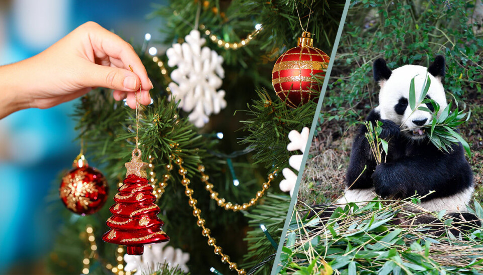 10 julklappar under granen som verkligen gör skillnad
