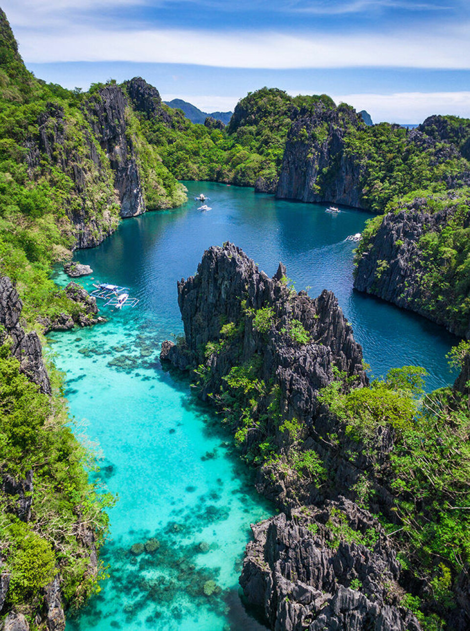 Foto: Shutterstock Foto: Shutterstock