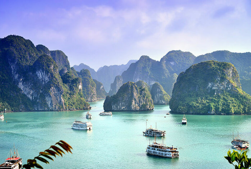 Foto: Shutterstock Foto: Shutterstock