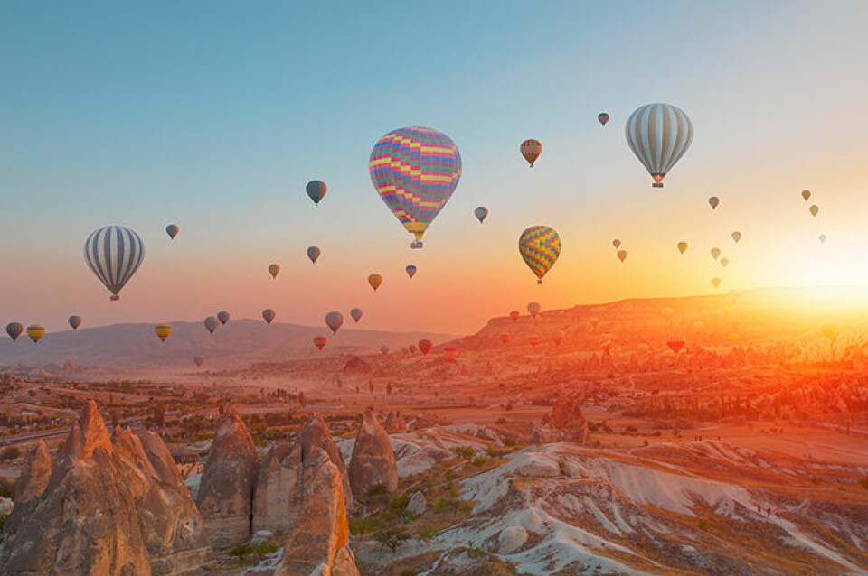 Foto: Shutterstock Foto: Shutterstock