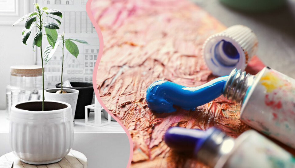 Sugen på en ny hobby? Här är hetaste Pinterest-trenderna 2019