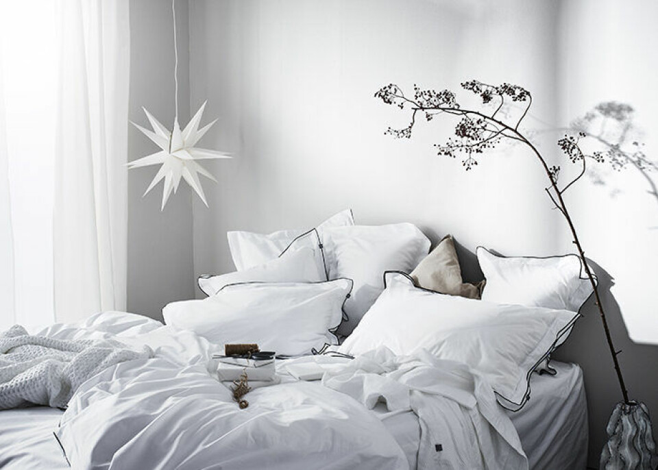 Den trendiga julstjärnan kan hänga kvar efter jul. Foto: Jotex Den trendiga julstjärnan kan hänga kvar efter jul. Foto: Jotex
