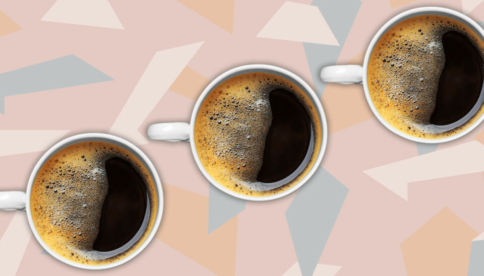 Klimatet hotar kaffet – kan bli lyxvara igen
