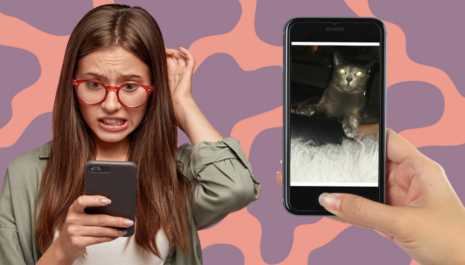 Nu kan du ställa ut dina fulaste mobilbilder på Fotografiska