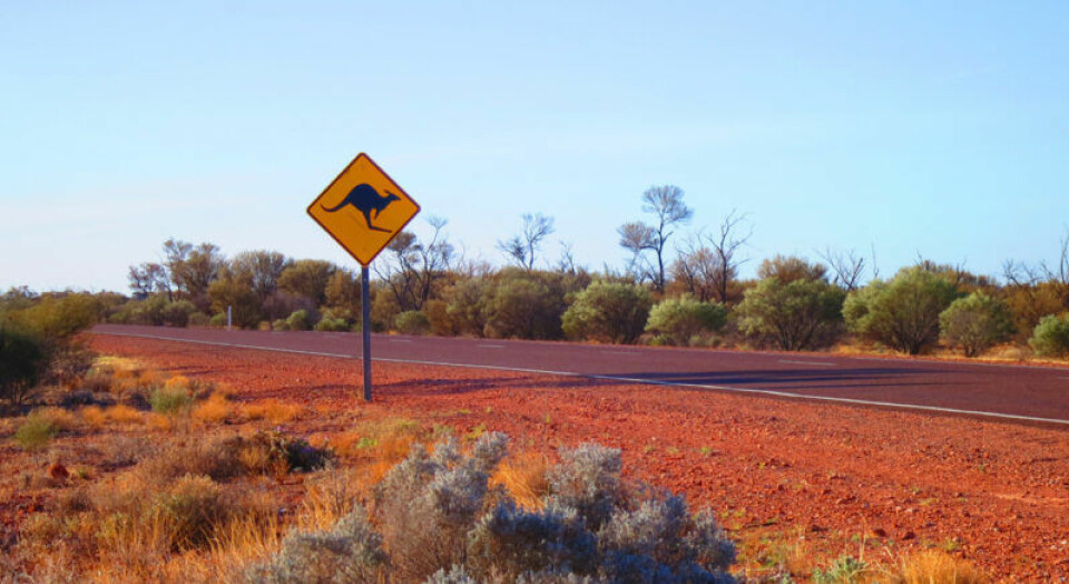 Den australiensiska outbacken bjuder på både tystnad och äventyr. Den australiensiska outbacken bjuder på både tystnad och äventyr.
