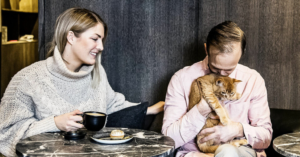 Nu öppnar Sveriges första kattkafé och vi har varit där!